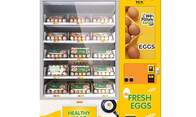 Eierautomat TCN-CEL-11L(32SP)